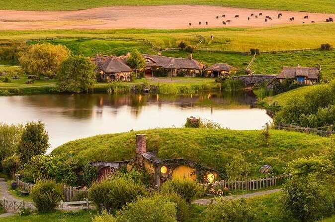 5-Day Bay of Islands Rotorua Waitomo Caves and Hobbiton Tour from Auckland - The transportation reality: why this trip isn’t a single continuous coach tour