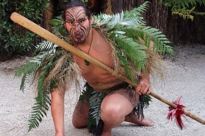 5-Day Bay of Islands Rotorua Waitomo Caves and Hobbiton Tour from Auckland - Day 1 in Paihia: coastal arrival plus New Zealand’s origin story at Waitangi