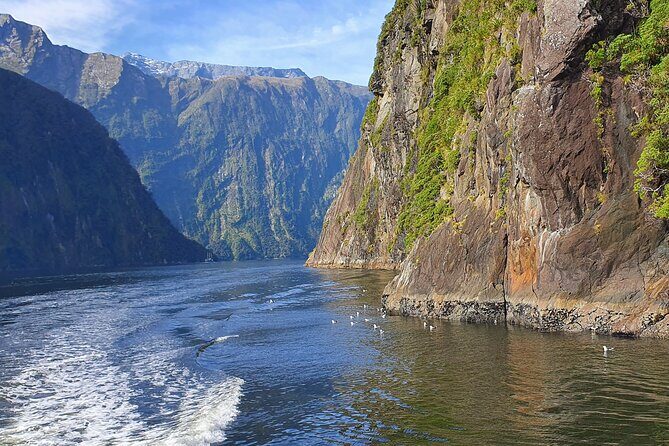 5 Day South Island New Zealand Private Tour from Queenstown - Key highlights (the stuff that makes this tour click)