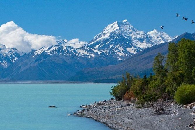 5-Day South Island Tour from Christchurch - Day 4 Haast Pass and Westland National Park: glaciers and the long-way-there