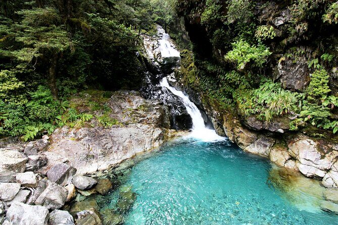 5 Day South Island Tour from Queenstown including Stewart Island - Stewart Island without the stress: ferry crossing, Paterson Inlet, and calm wildlife time