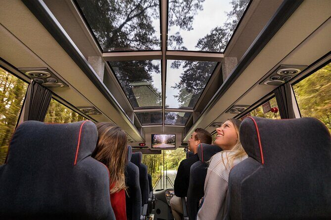 6-Day South Island Southern Heritage Tour from Christchurch - Dunedin back to Christchurch via Oamaru and Timaru: a relaxed final travel day