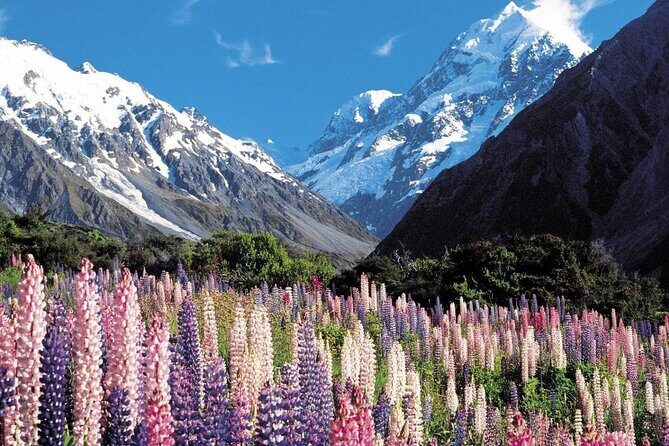 6-Day South Island Southern Heritage Tour from Christchurch - Queenstown base camp and the Milford Sound cruise: big scenery, guided and timed