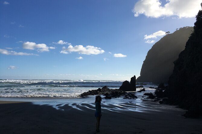 6 Hours Sightseeing Tour in Auckland - Who this tour fits best (and who should think twice)
