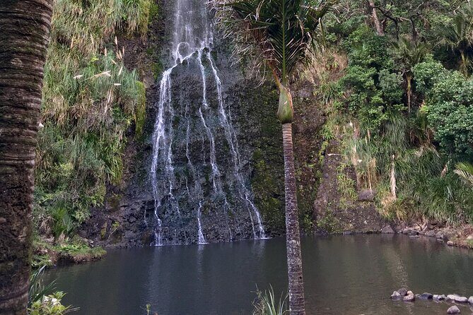 6 Hours Sightseeing Tour in Auckland - Tips to get the most from the day