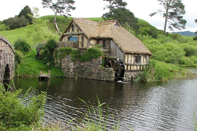 6hr Hobbiton Movie Set Tour - Departs Tauranga - McLaren Falls Park: a real nature moment on the way back