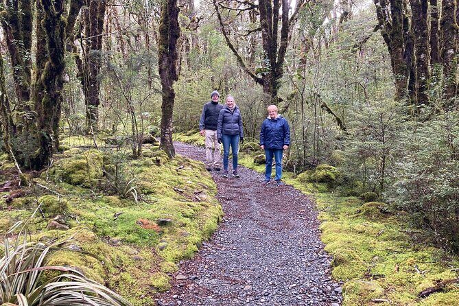 7-Day South Island Coastal Splendor Tour from Christchurch - Starting in Christchurch: the smooth handoff to the TranzAlpine