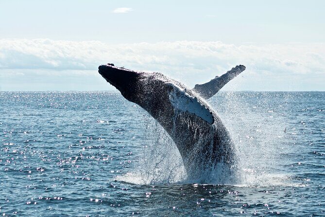 8 Day Southern Secrets Small Group Tour - Price and value at $992.30 per person: what you’re really paying for