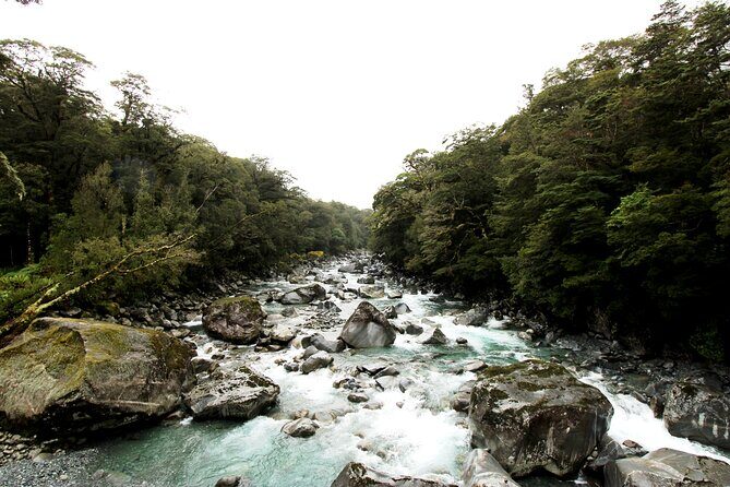 9 Day South to North Island NZ Private Tour from Queenstown - Hotels and Breakfast: When the With Hotels Option Makes Sense
