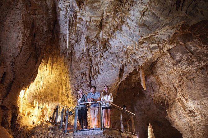 90-Minute Guided Ruakuri Cave Tour Waitomo - Ruakuri Cave in Waitomo: What You’re Really Signing Up For