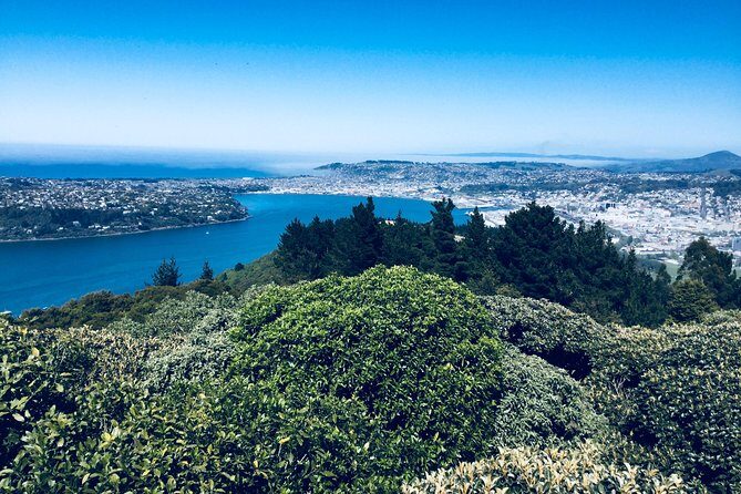 A 2 hour Small Group Dunedin City Highlights Tour - Comfortable Air-Conditioning for a City That Hates Flat Roads