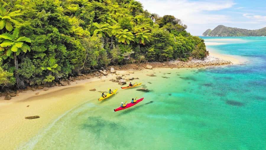 Abel Tasman National Park: Cruise, Kayak, & Hike Tour - Landing for lunch and switching gears to hiking