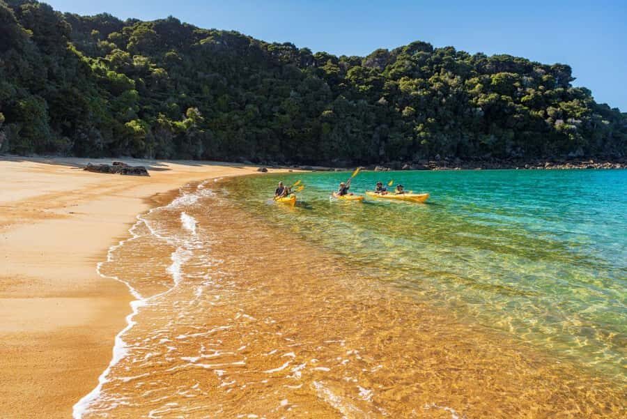 Abel Tasman National Park: Cruise, Kayak, & Hike Tour - Coastal track to Anchorage: native bush, ferns, and views