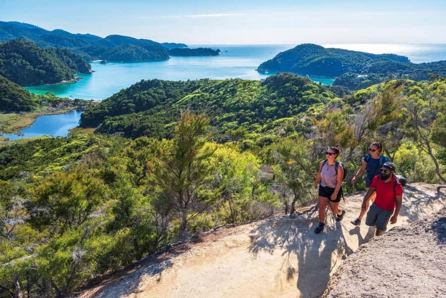 Abel Tasman National Park: Cruise, Kayak, & Hike Tour - Swimming time: a fun reset if conditions allow