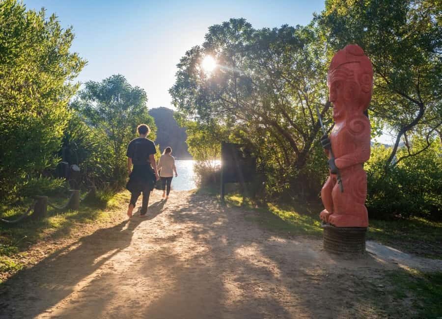 Abel Tasman National Park: Waka & Walk Tour - Nelson pickup and the short setup that matters