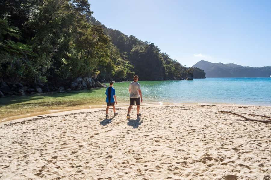 Abel Tasman National Park: Waka & Walk Tour - What’s included, what’s not, and where the value shows