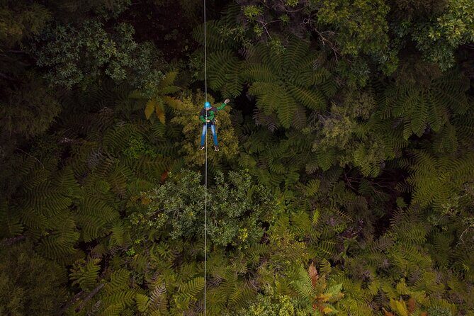 Adventurous Zipline Tour in Coromandel - Entering Coromandel by Mountain Railway at Driving Creek