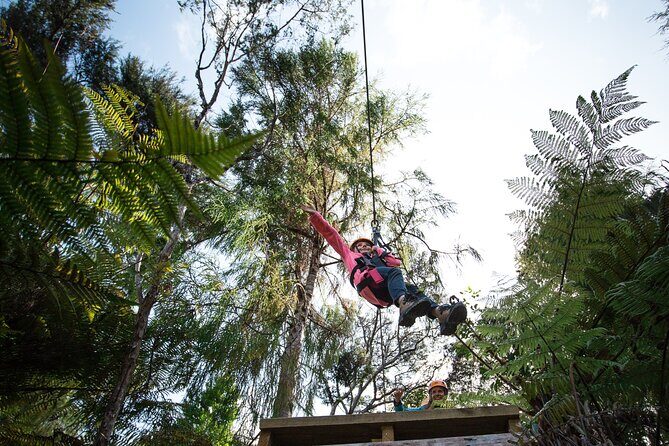 Adventurous Zipline Tour in Coromandel - The Story of Barry Bicknell and Why Driving Creek Matters