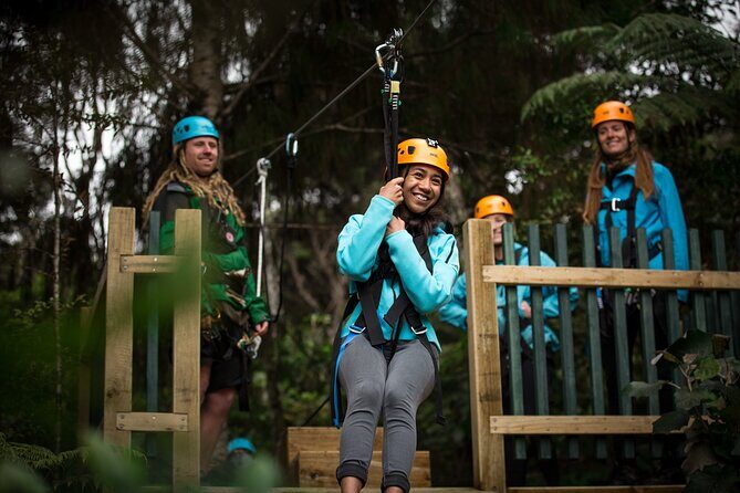 Adventurous Zipline Tour in Coromandel - Price and Value: Is $91.22 a Good Deal?