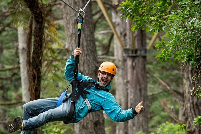 Adventurous Zipline Tour in Coromandel - Weather, Clothing, and Timing: Practical Tips That Help