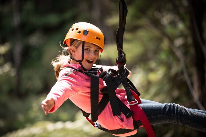 Adventurous Zipline Tour in Coromandel - Who Should Book This Coromandel Zipline Tour