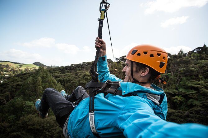 Adventurous Zipline Tour in Coromandel - Eight Ziplines Over Kauri Forest and Gully Views