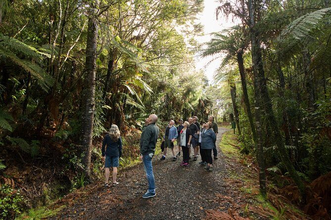 Afternoon Piha Beach and Rainforest Tour from Auckland - Arataki Visitor Centre: Views, Carvings, and A Good First Impression