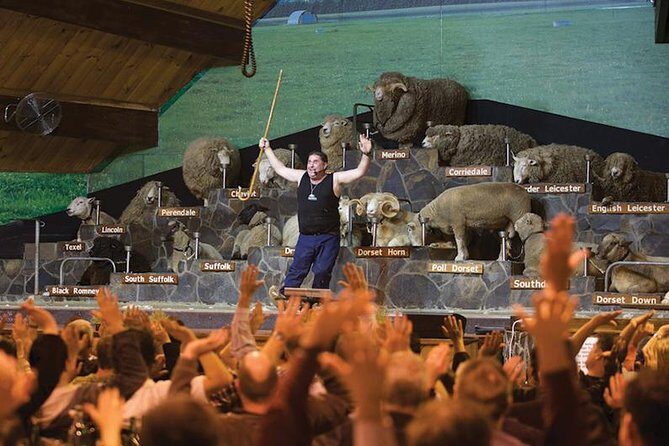 Agrodome Farm Experience including Farm Show and Farm Tour - Rotorua - Key things you will notice at Agrodome