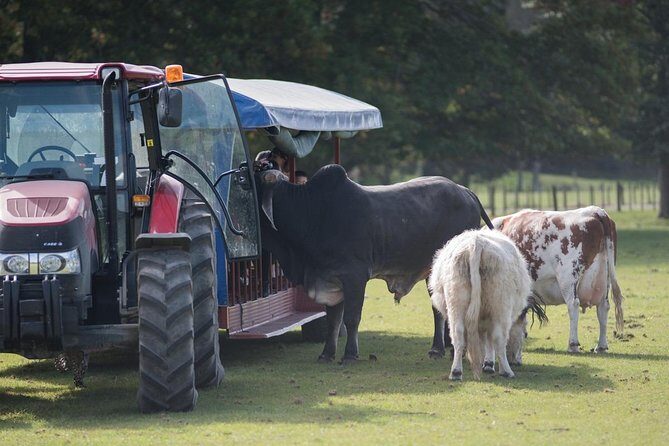 Agrodome Farm Experience including Farm Show and Farm Tour - Rotorua - The Tractor Trailer Farm Tour: All-Weather and All-Terrain