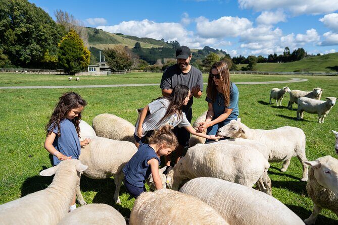 Agrodome Farm Experience including Farm Show and Farm Tour - Rotorua - Animal Encounters Beyond Sheep: A Whole Mini-Farm World