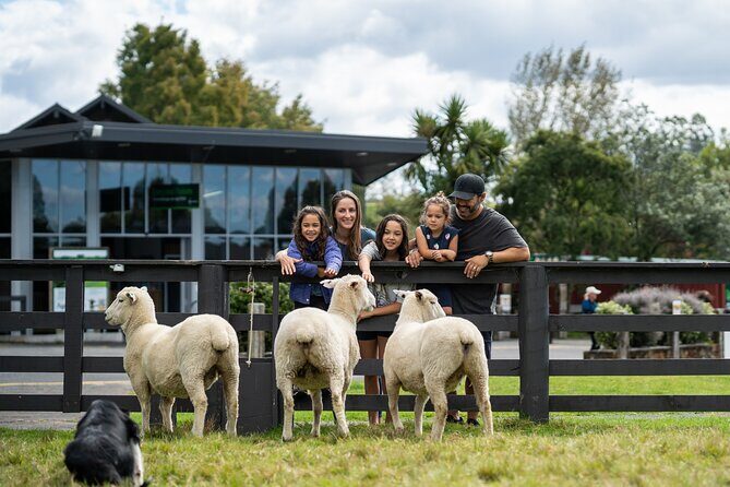 Agrodome Farm Experience including Farm Show and Farm Tour - Rotorua - Where This Fits Best: Families, Knitters, and Farm Curiosity