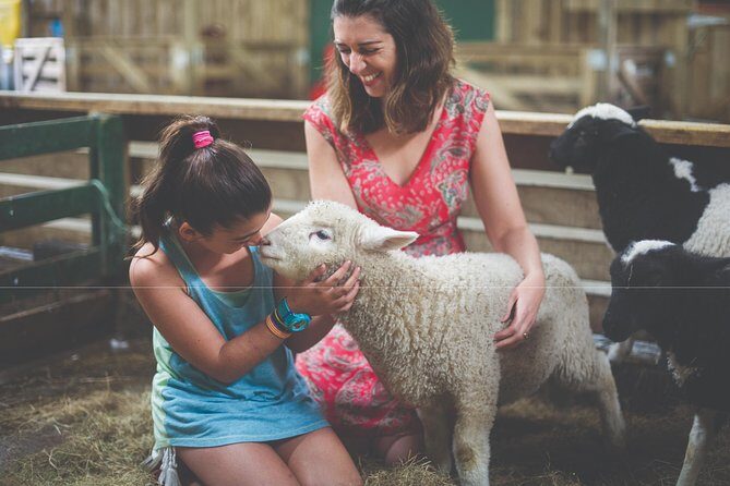 Agrodome Farm Experience including Farm Show and Farm Tour - Rotorua - Price and Value: What $40.34 Buys You in Real Experience