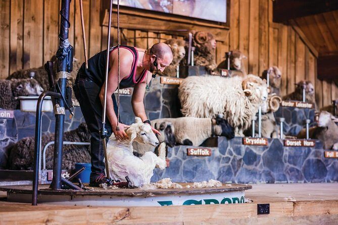 Agrodome Farm Experience including Farm Show and Farm Tour - Rotorua - The One-Hour Sheep Show: Breeds, Shearing, Dogs, and Audience Fun
