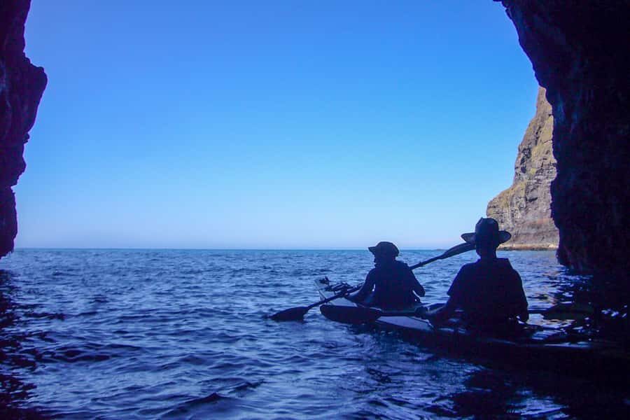 Akaroa: 4WD Safari and Guided Sea-Kayaking Experience - Akaroa 4WD to Pohatu: the ride that sets the tone