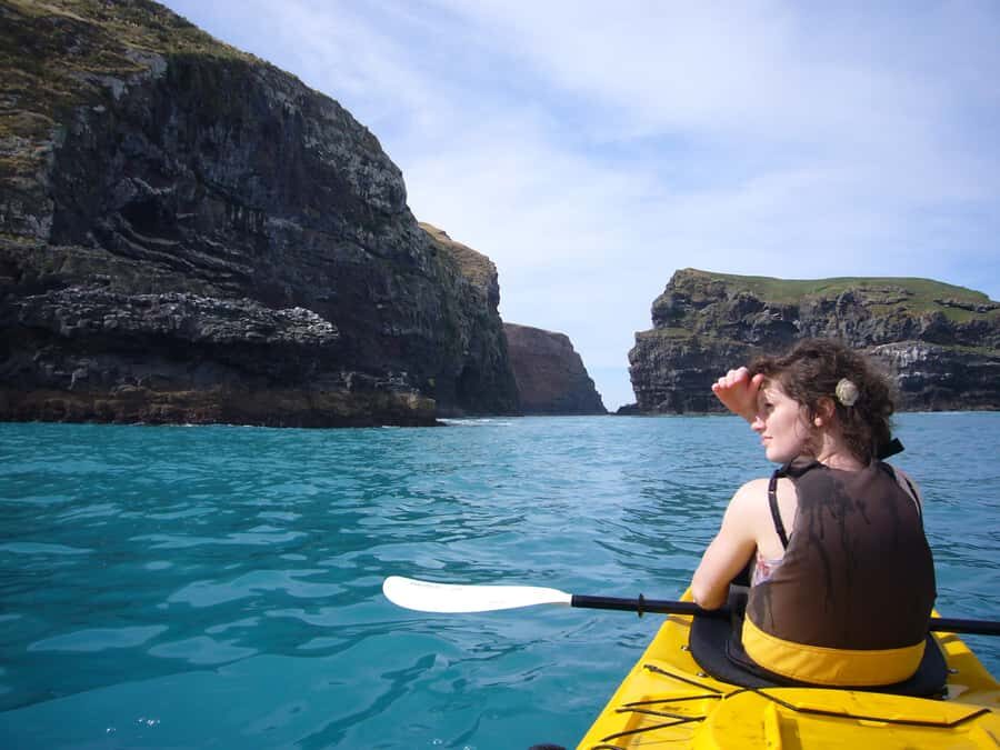 Akaroa: 4WD Safari and Guided Sea-Kayaking Experience - How the morning and afternoon options change your day