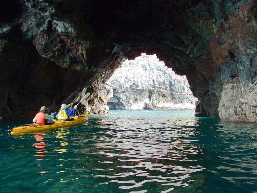 Akaroa: 4WD Safari and Guided Sea-Kayaking Experience - What $80 gets you, and where you’ll spend extra