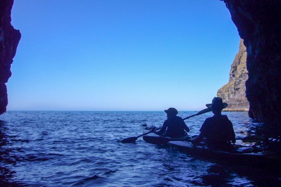 Akaroa: 4WD Safari and Guided Sea-Kayaking Experience - What to bring and what to wear (so you stay comfortable)