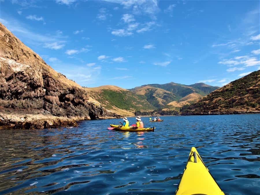 Akaroa: 4WD Safari and Guided Sea-Kayaking Experience - Who this tour fits best (and who should skip it)