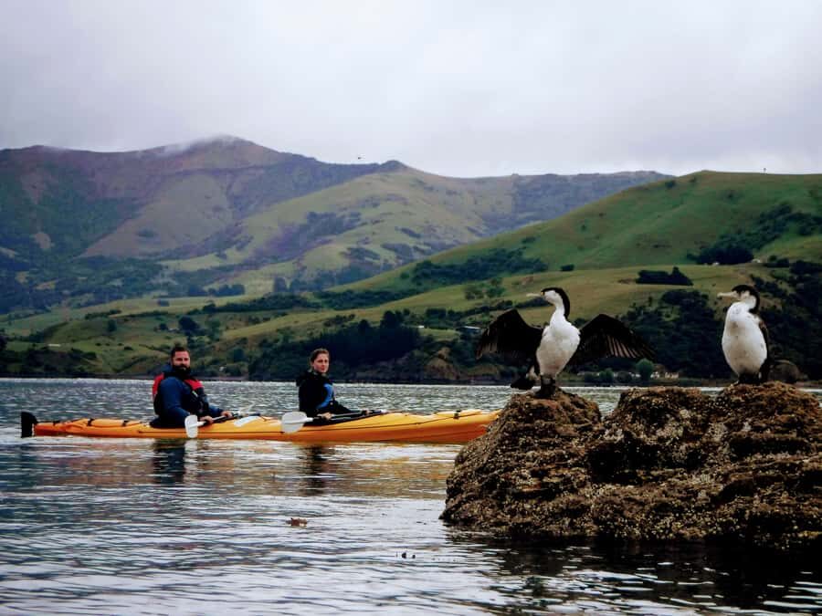 Akaroa: Akaroa Marine Reserve Sea Kayaking Tour - Getting on the water: meeting point, gear, and your first paddle strokes