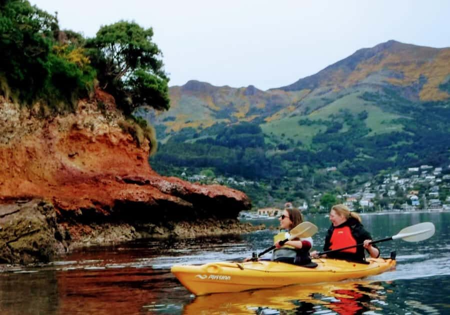 Akaroa: Akaroa Marine Reserve Sea Kayaking Tour - Who this tour suits best (and who should think twice)