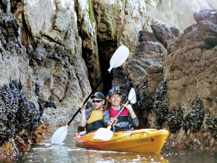 Akaroa: Akaroa Marine Reserve Sea Kayaking Tour - Booking tips so your day goes smoothly