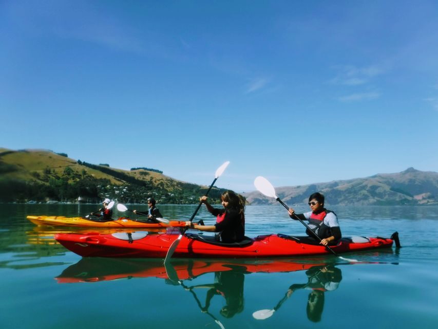 Akaroa: Akaroa Marine Reserve Sea Kayaking Tour - Should you book Akaroa Marine Reserve Sea Kayaking?