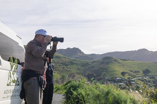 Akaroa & Banks Peninsula from Lyttelton(Private Shore Excursion) - Key highlights worth knowing