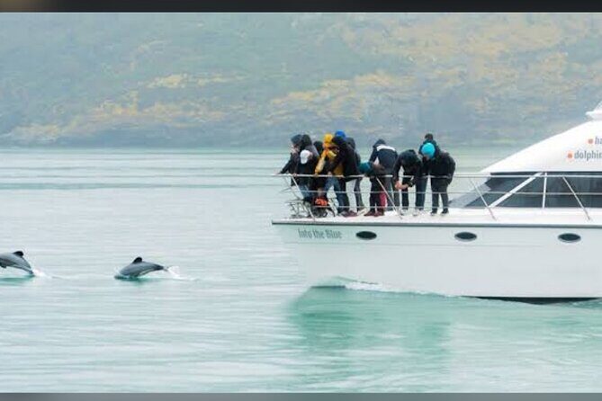Akaroa Day Tour From Christchurch - Akaroa Harbour views and Governor’s Bay: the postcard payoff