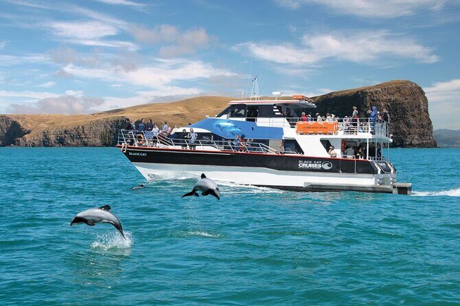 Akaroa Day Tour From Christchurch & Lyttelton - The “get out fast” value of an 8-hour Akaroa day tour
