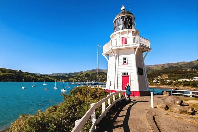 Akaroa Day Tour from Christchurch Return - Optional wildlife cruise: sea life you can only see with good timing