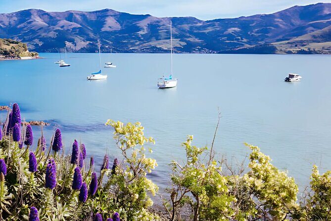 Akaroa Day Tour from Christchurch Return - Akaroa Museum (free): the fastest way to understand the town