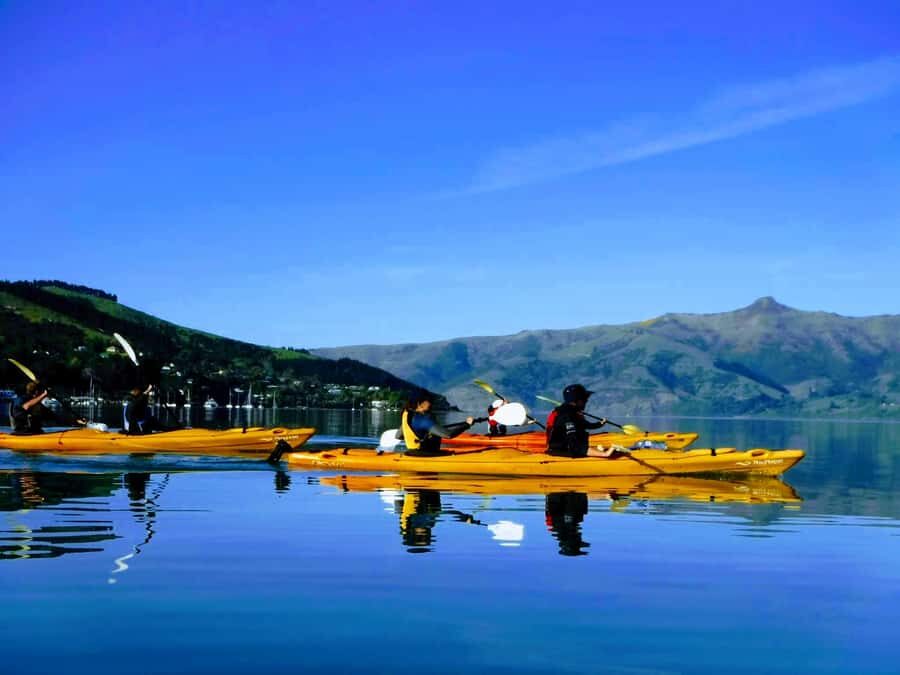 Akaroa: Electric Mountain Bike and Sea Kayak Adventure - A day that feels like two separate adventures