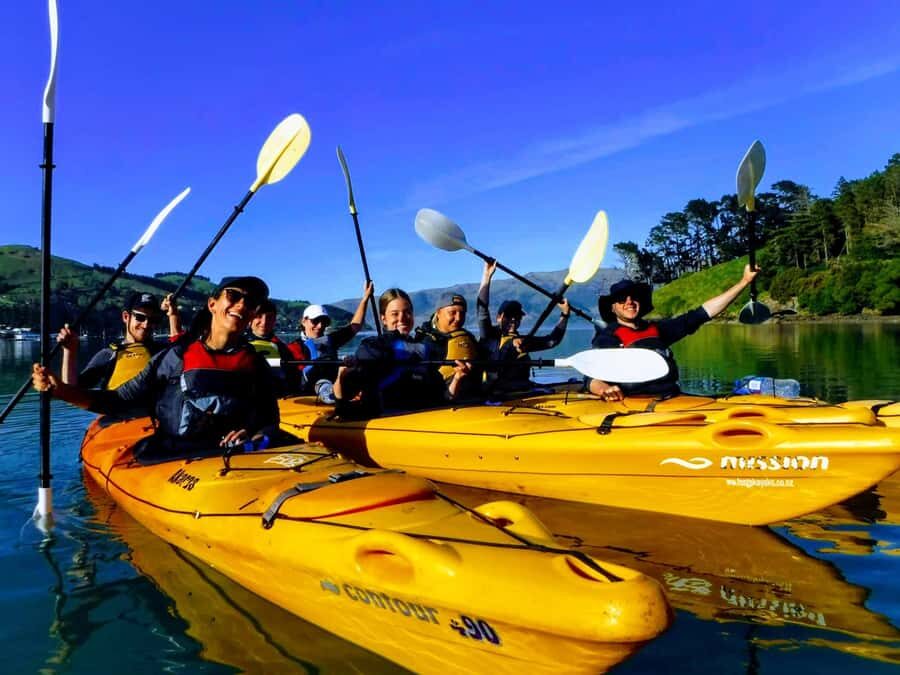 Akaroa: Electric Mountain Bike and Sea Kayak Adventure - The sea kayak safari: caves, birds, and the wildlife you came for
