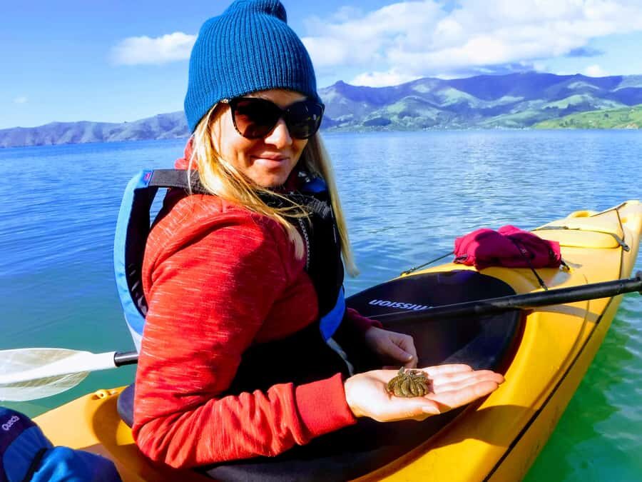 Akaroa: Electric Mountain Bike and Sea Kayak Adventure - Small-group travel that keeps the day calmer